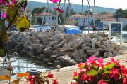 flowers and docks in Božava village