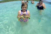 kid in sandy bay with sea turtle