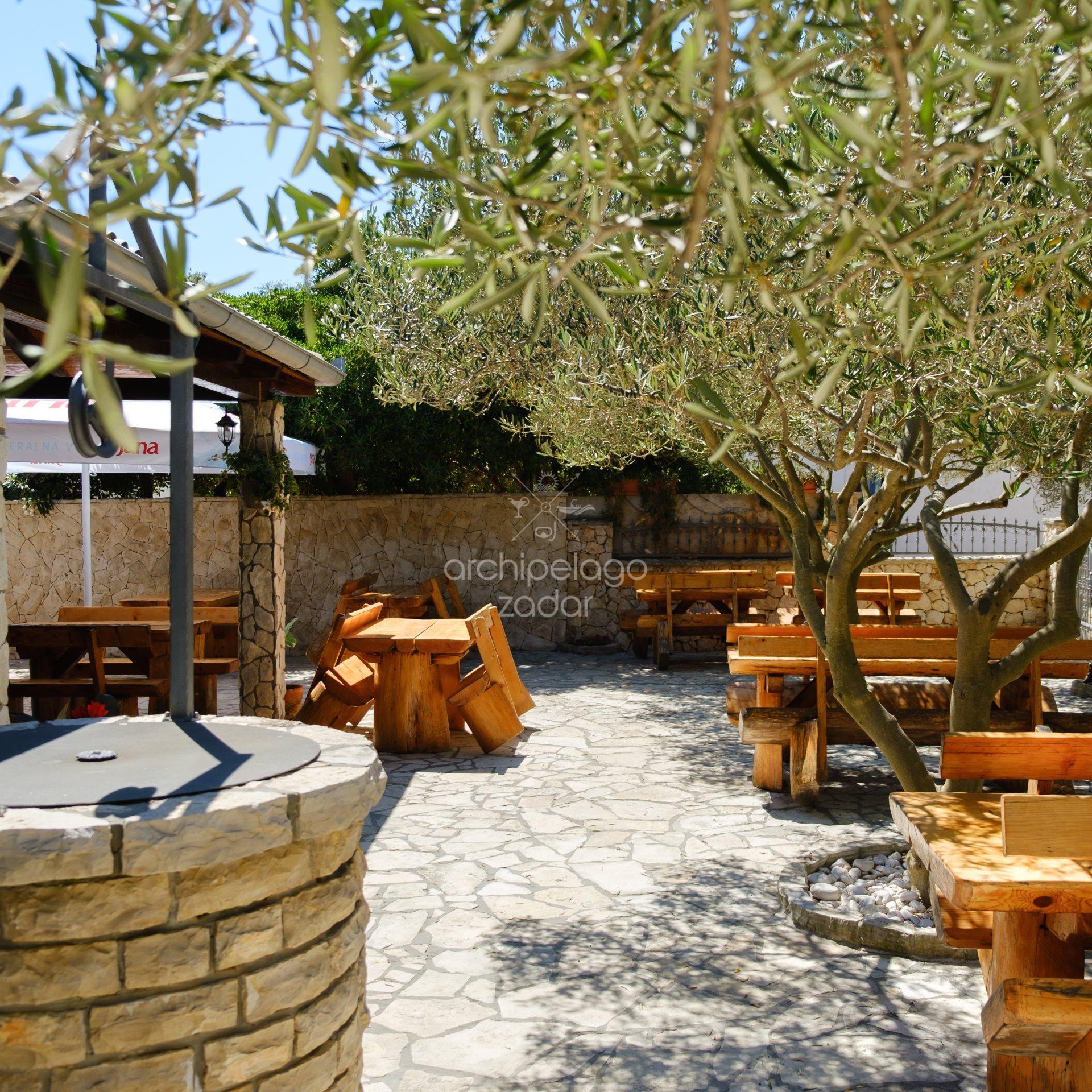 Silba island Leggiero restaurant and olive trees and well