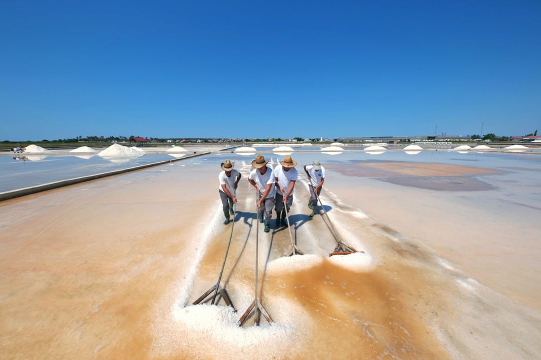local products in zadar salt nin