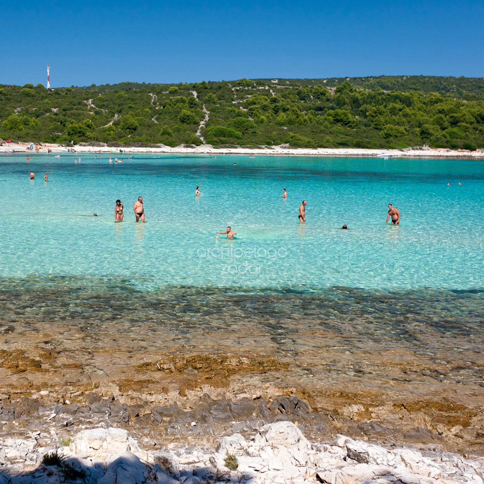 people in shallow turquoise bay on sakarun beach playing picigin on boat tour from zadar