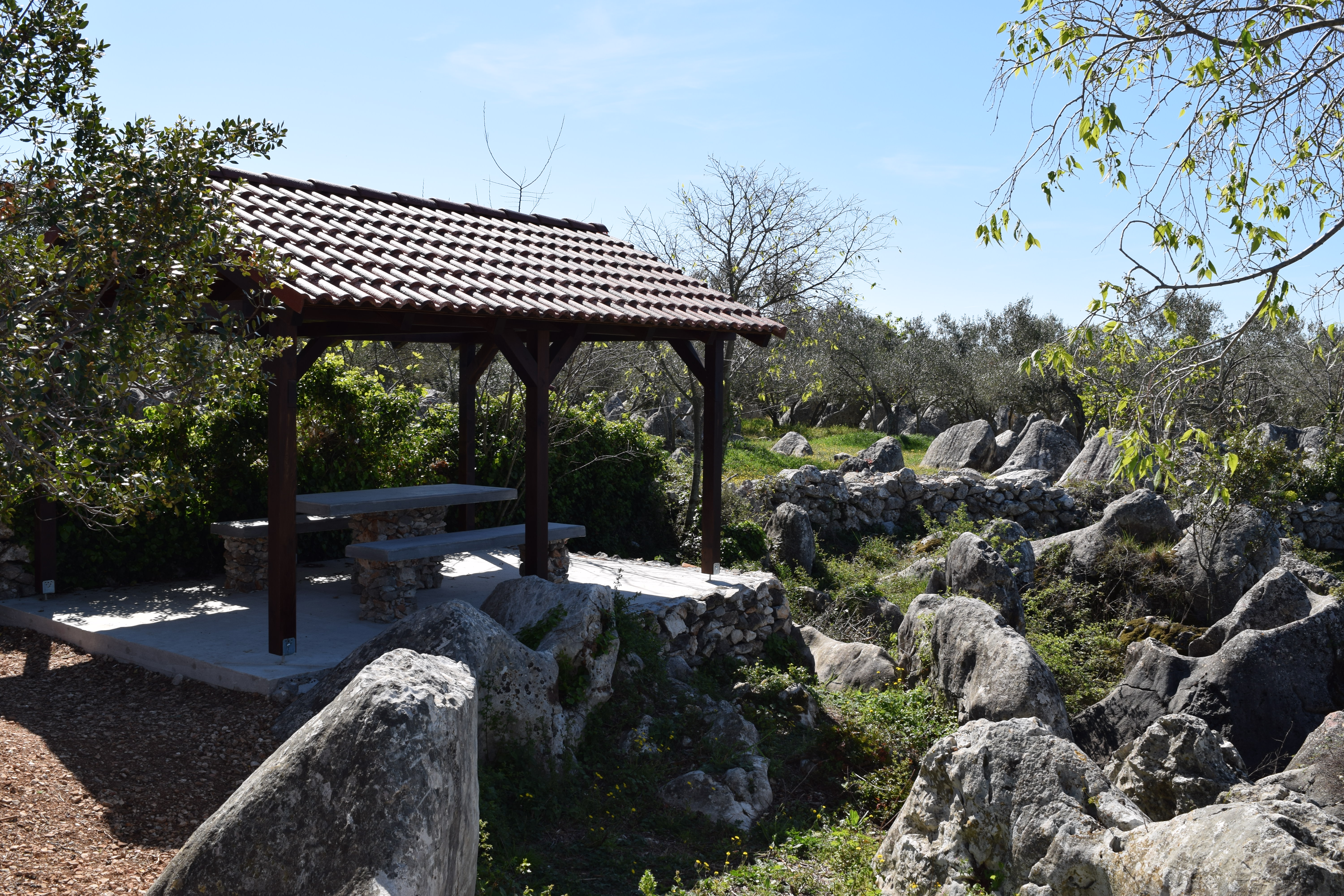 Hidden secrets of Zadar Archipelago`s speedboat wine tour